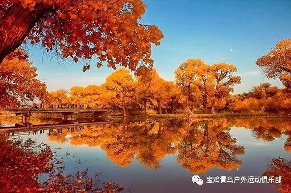 延安街道社区卫生服务中心学生HPV疫苗免预约接种绿色通道来啦!就在这个寒假！